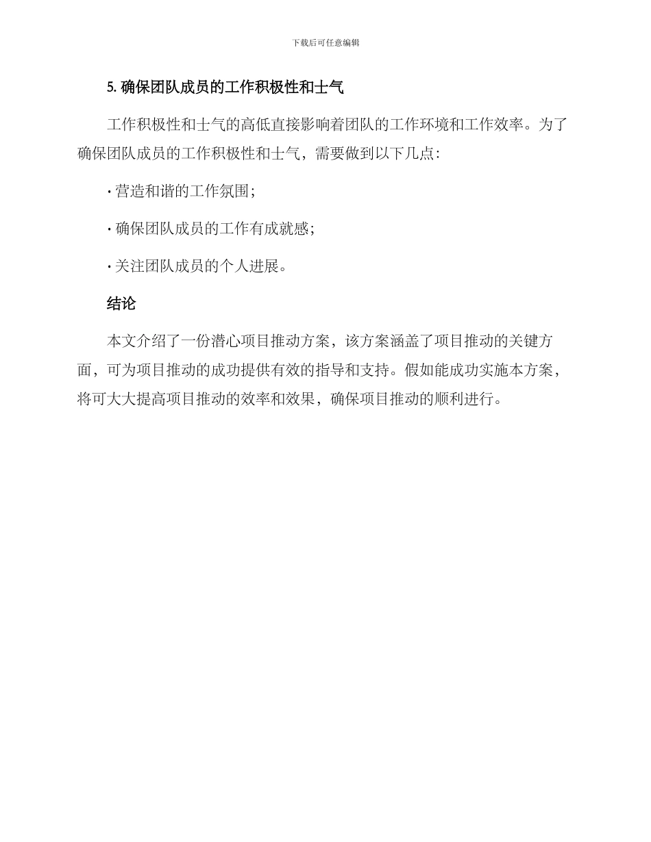 潜心项目推进方案_第3页