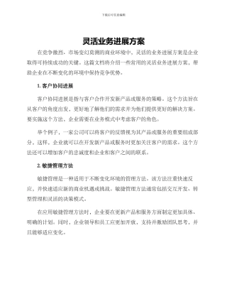 灵活业务发展方案