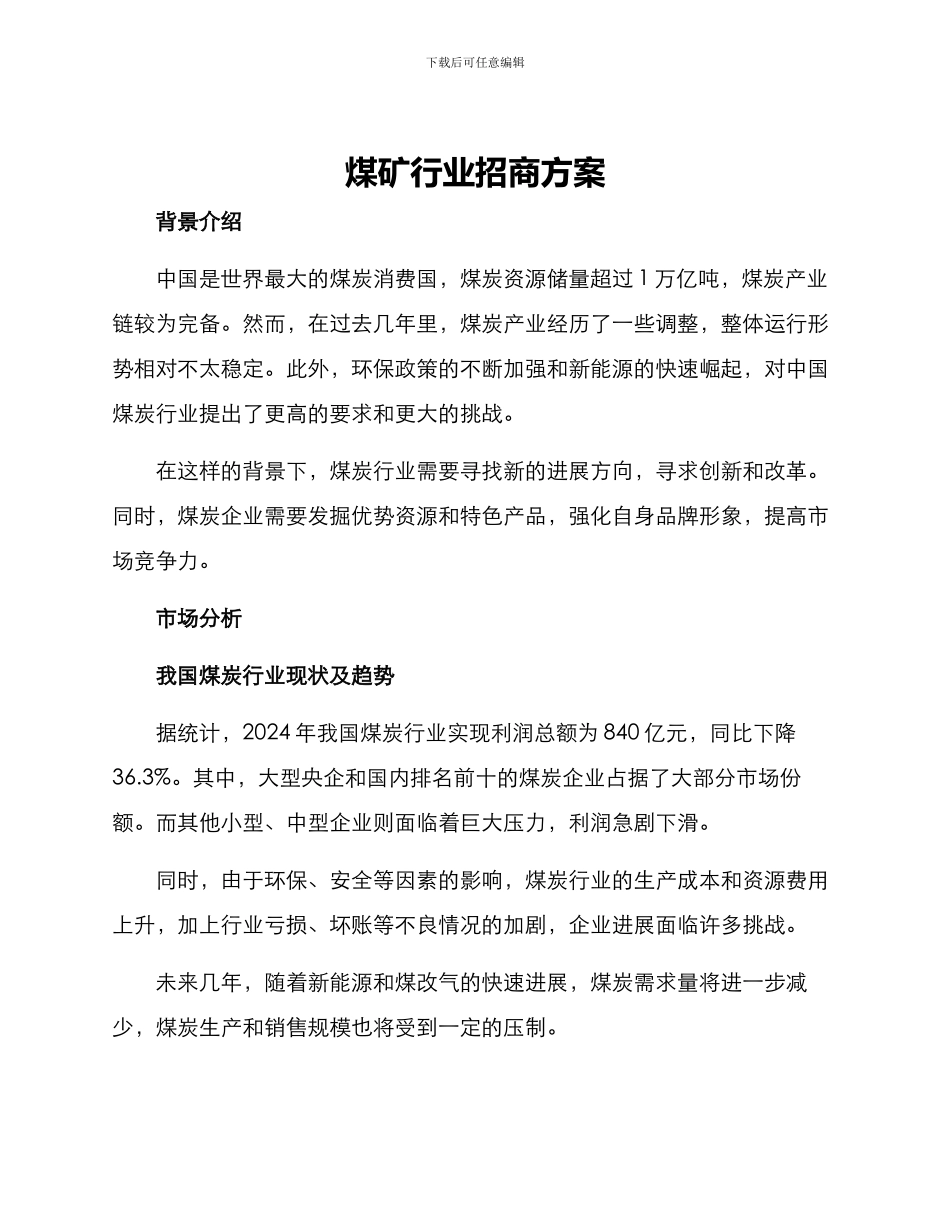 煤矿行业招商方案_第1页