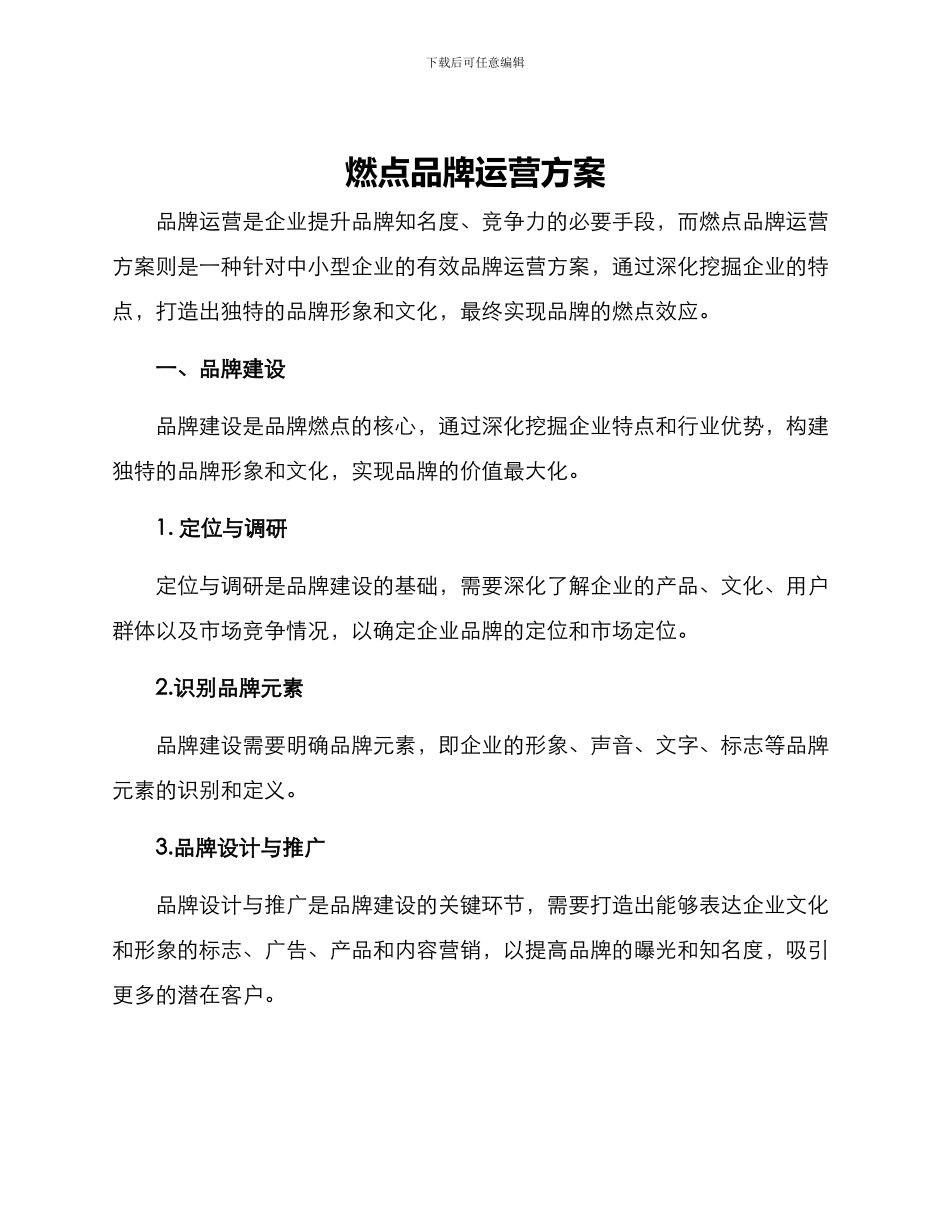 燃点品牌运营方案_第1页