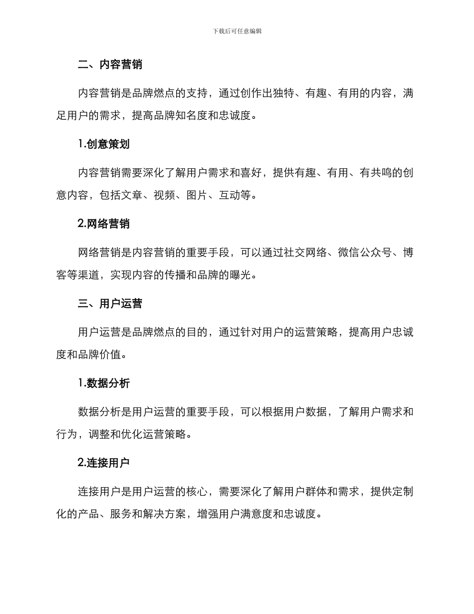 燃点品牌运营方案_第2页