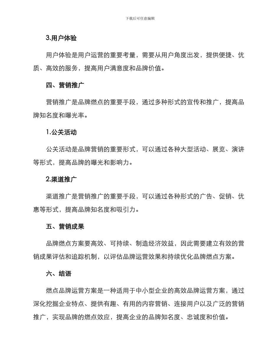 燃点品牌运营方案_第3页