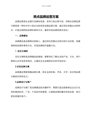 燃点品牌运营方案