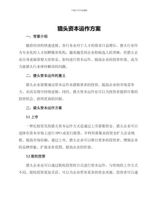 猎头资本运作方案