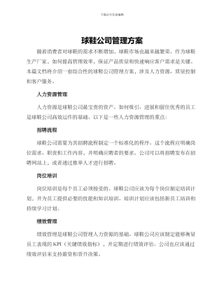 球鞋公司管理方案