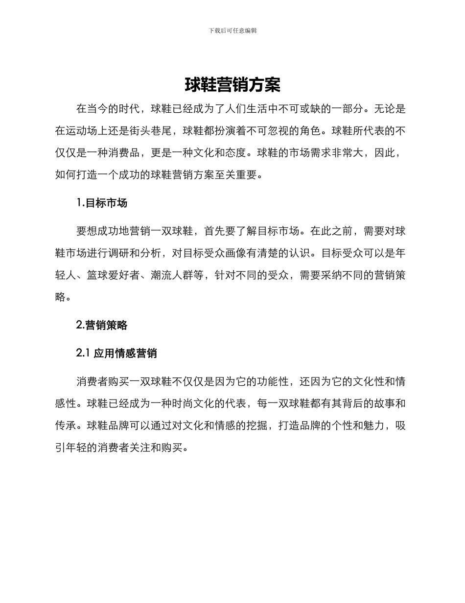 球鞋营销方案_第1页