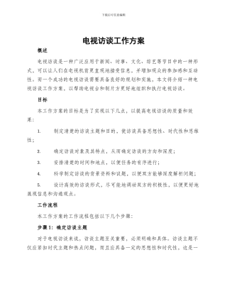 电视访谈工作方案
