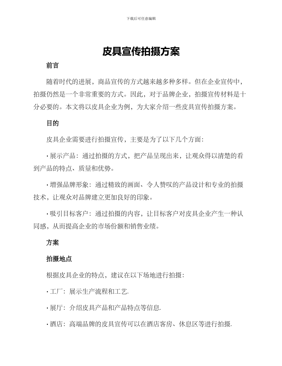 皮具宣传拍摄方案_第1页