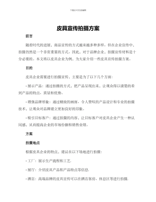 皮具宣传拍摄方案