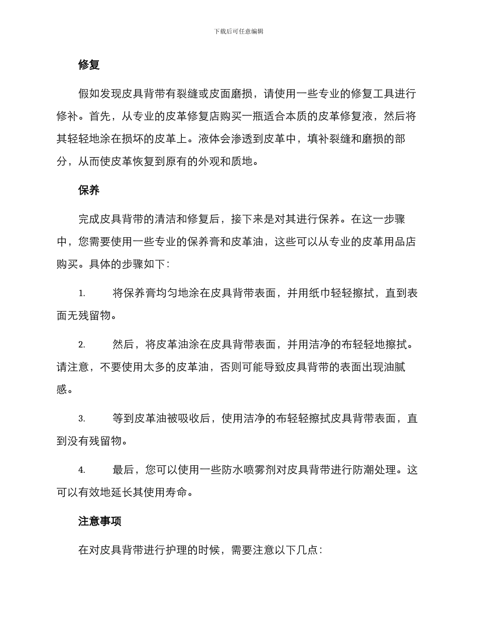 皮具背带护理方案_第2页