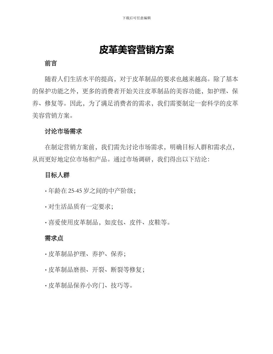 皮革美容营销方案_第1页