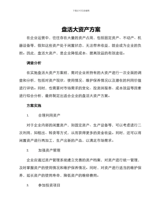 盘活大资产方案