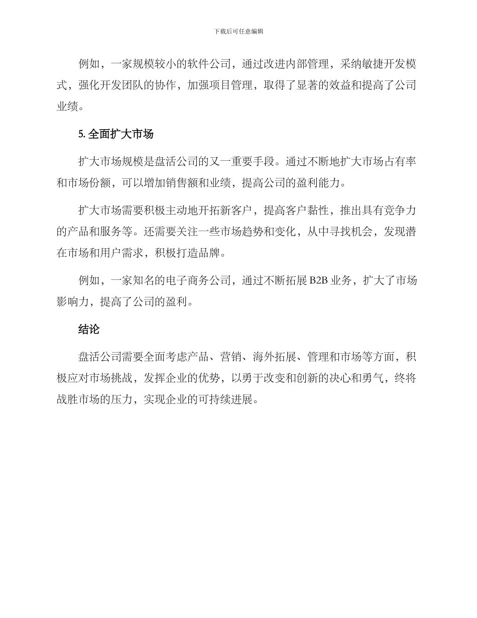 盘活公司方案参考_第3页