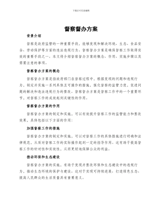 督察督办方案