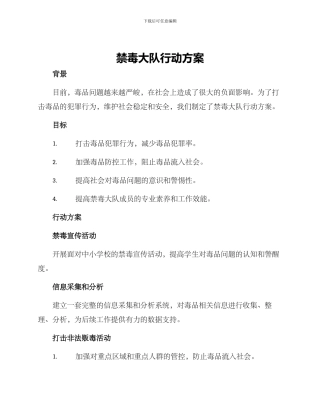 禁毒大队行动方案