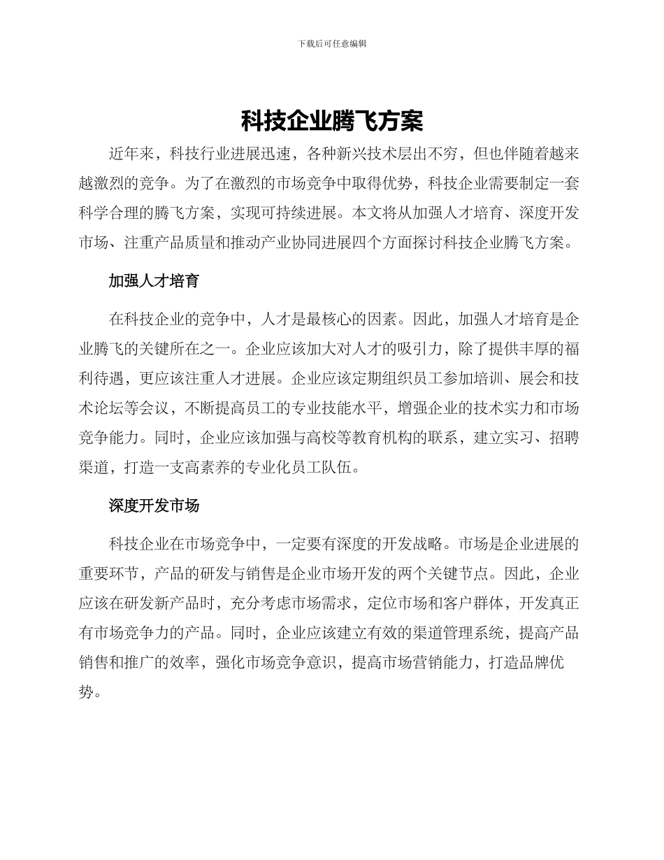 科技企业腾飞方案_第1页