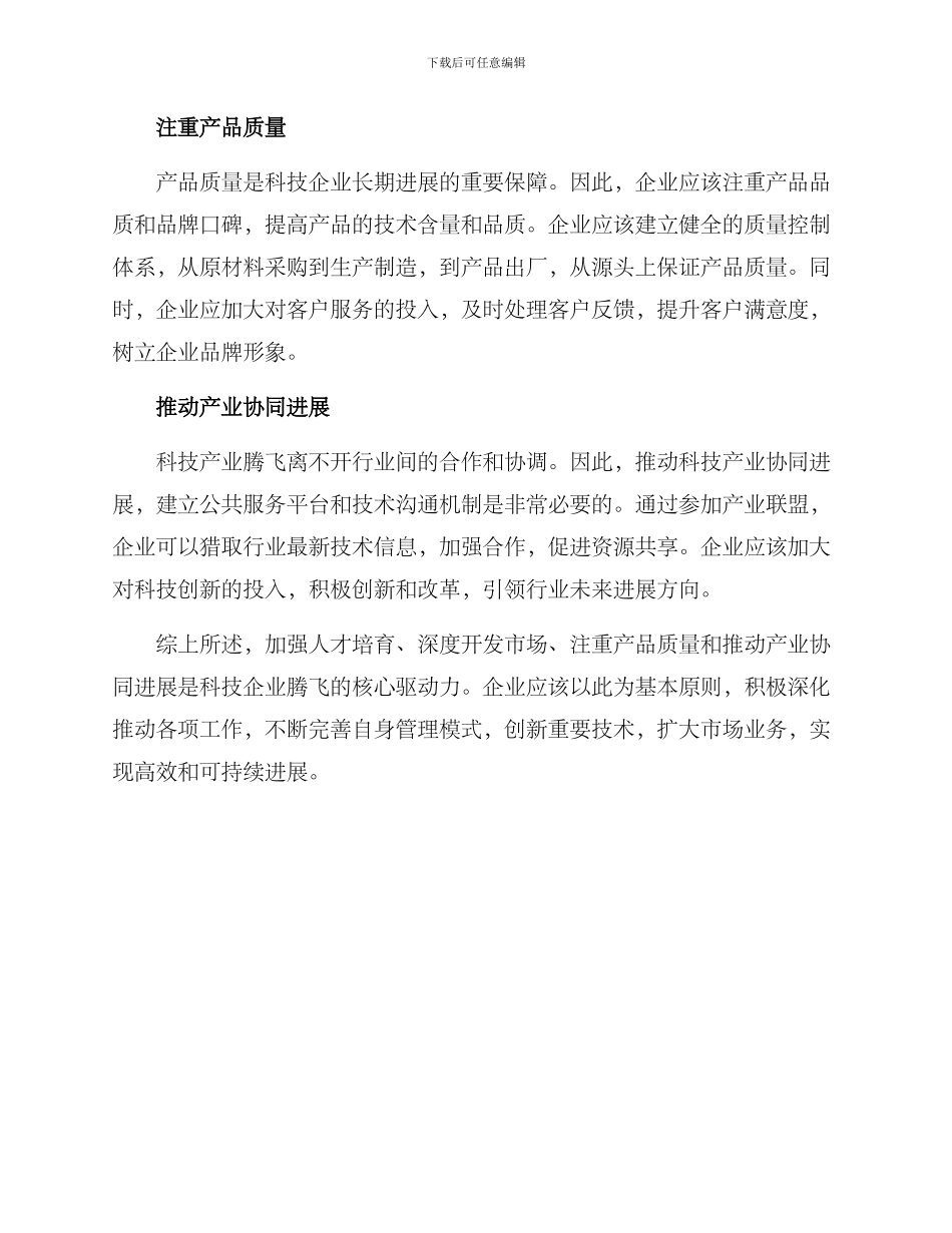 科技企业腾飞方案_第2页