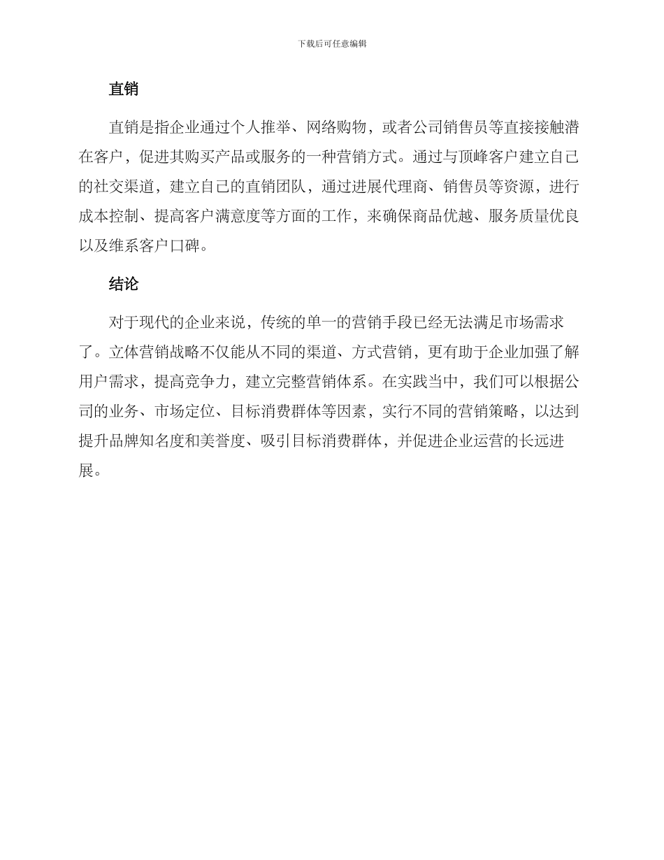 立体营销战略方案_第3页