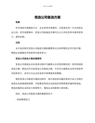 竞选公司备选方案