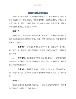 篮球初级技术提升方案