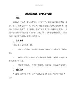 粮油购销公司整改方案