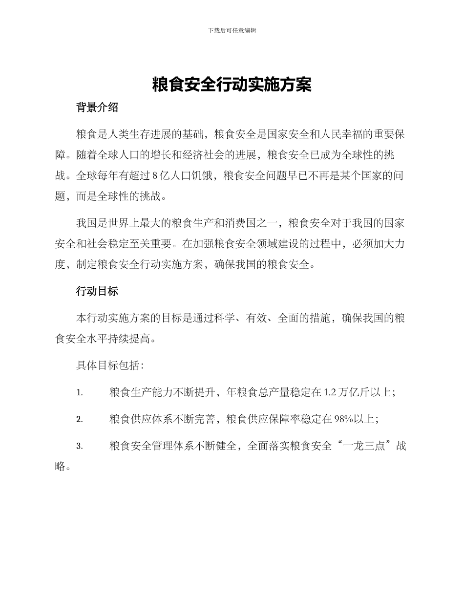 粮食安全行动实施方案_第1页