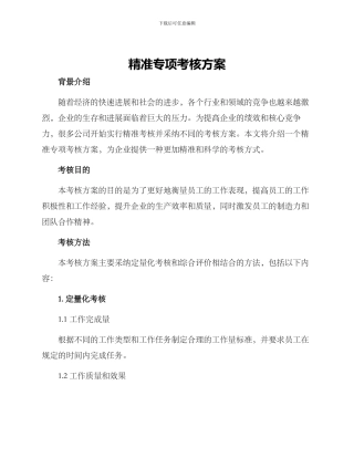 精准专项考核方案