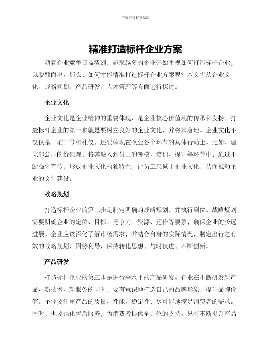 精准打造标杆企业方案_第1页