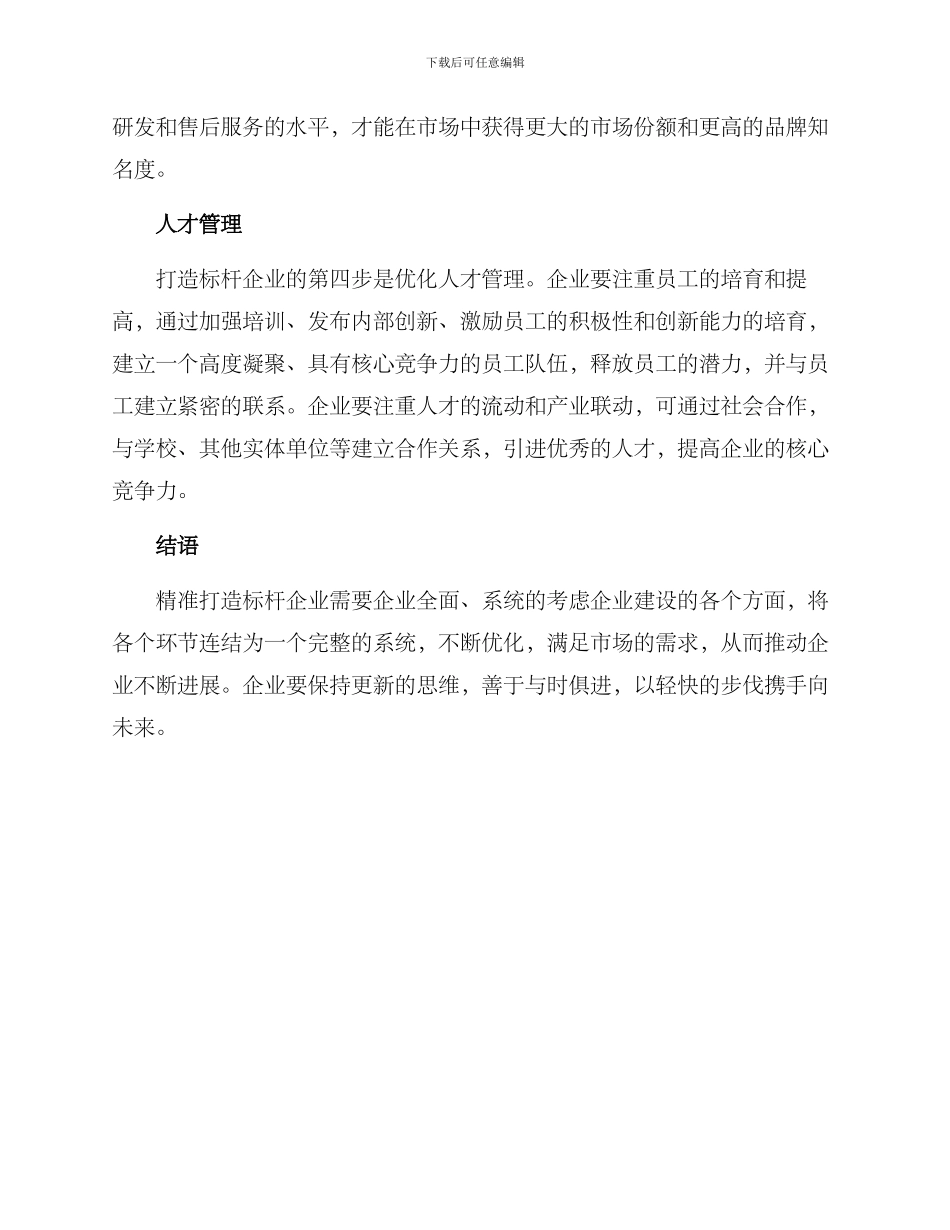 精准打造标杆企业方案_第2页