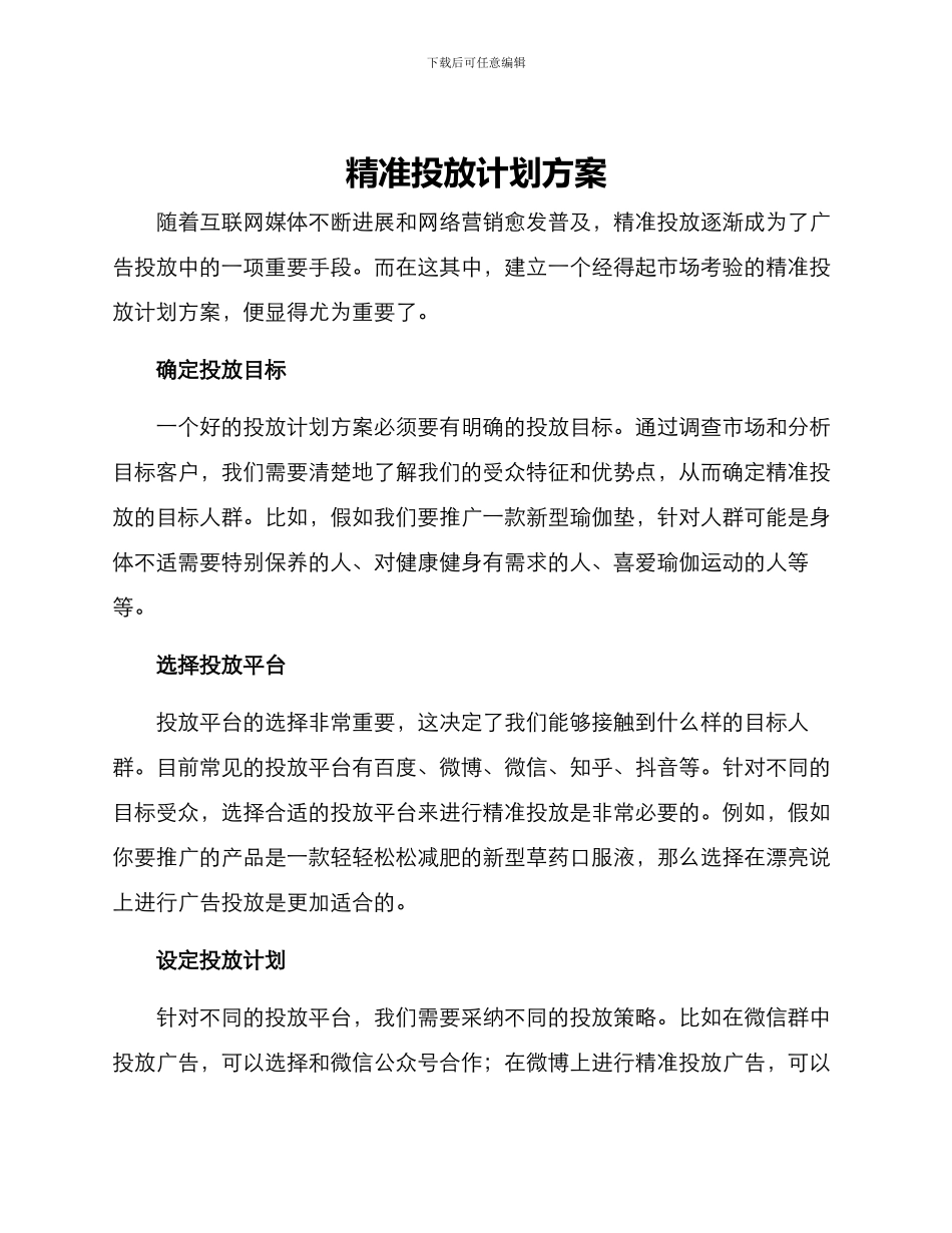 精准投放计划方案_第1页
