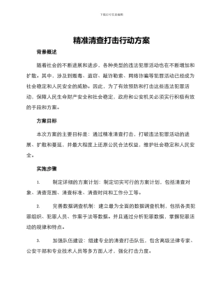 精准清查打击行动方案