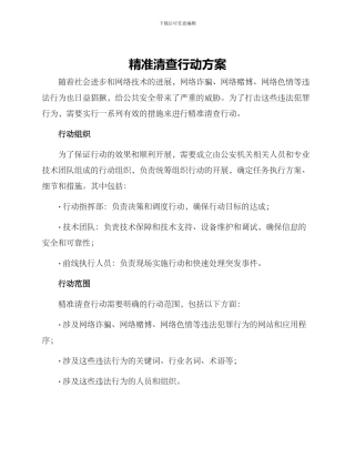 精准清查行动方案