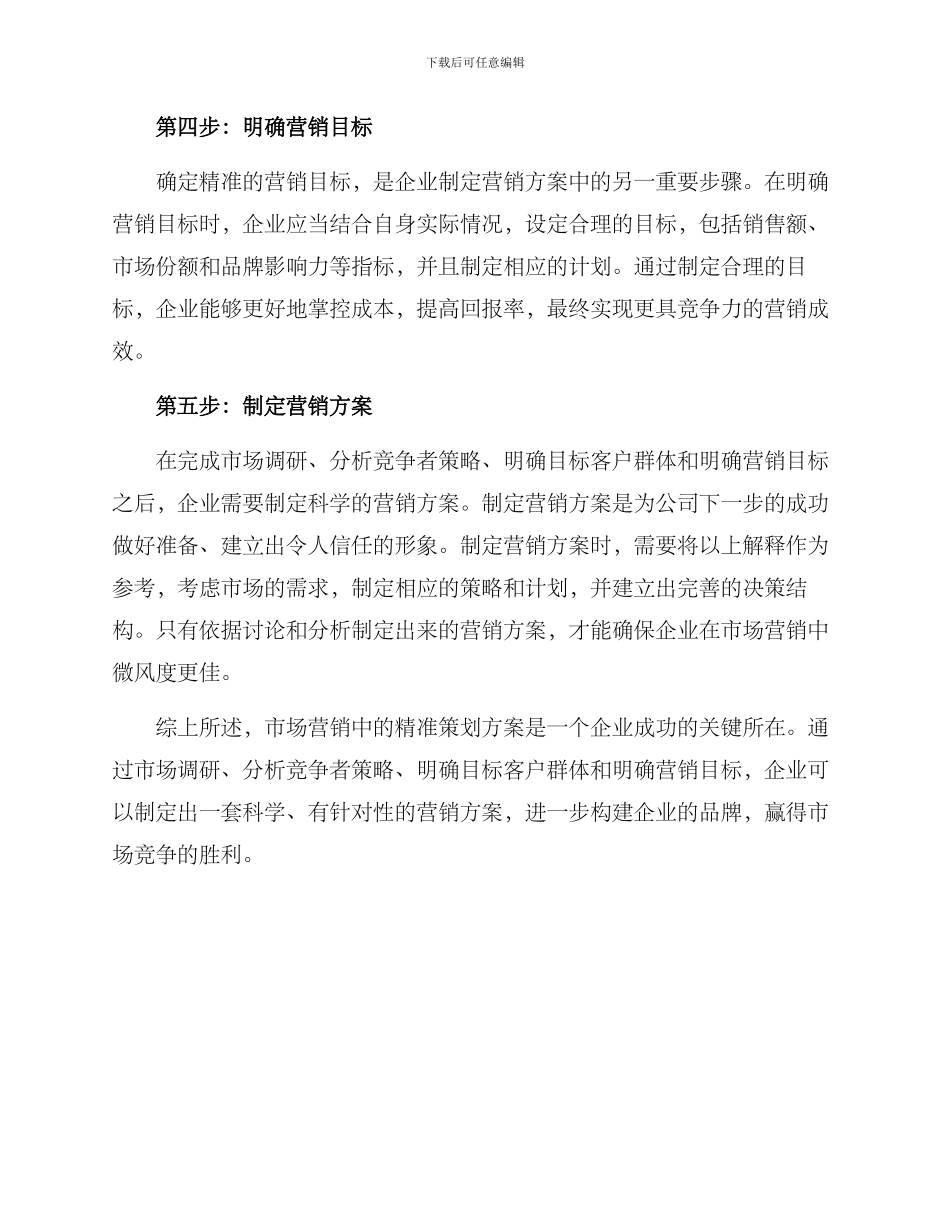 精准策划营销方案_第2页