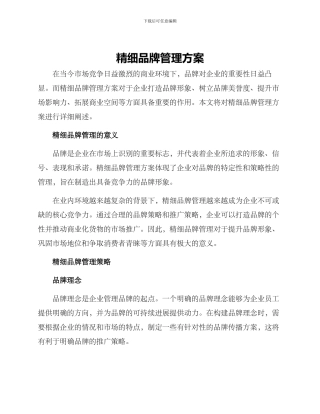 精细品牌管理方案
