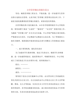 小学营养餐自查报告范文
