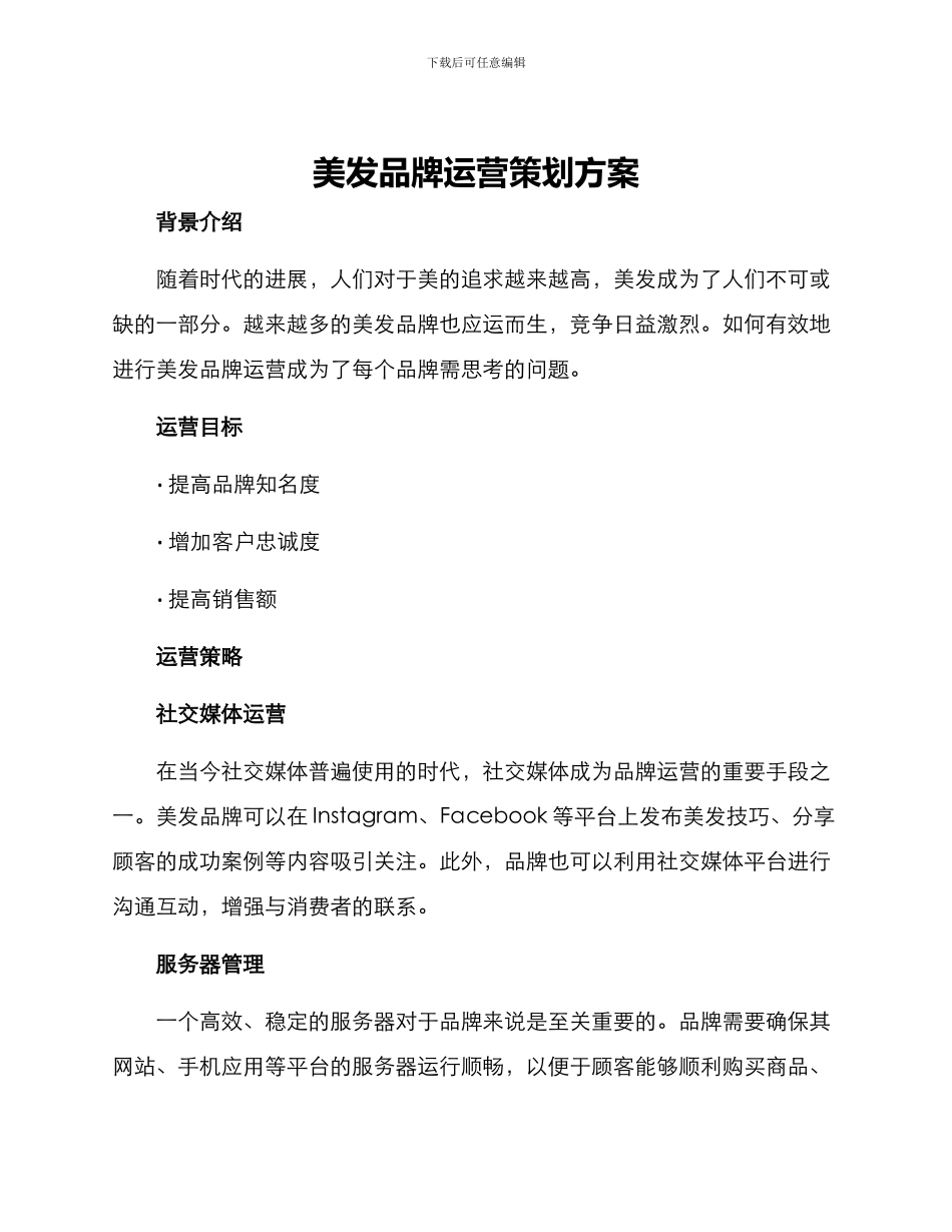 美发品牌运营策划方案_第1页