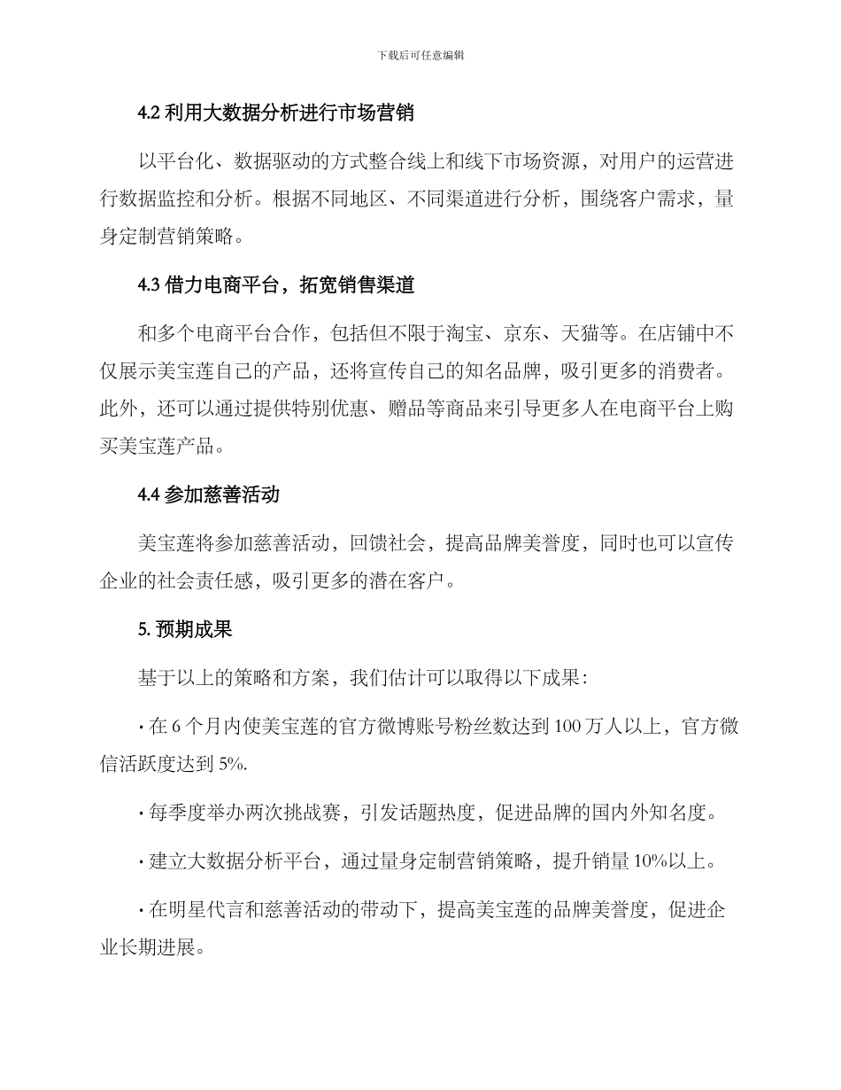 美宝莲营销策划方案_第2页