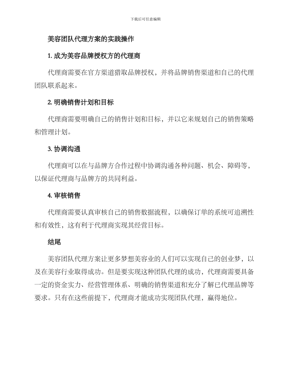 美容团队代理方案_第3页