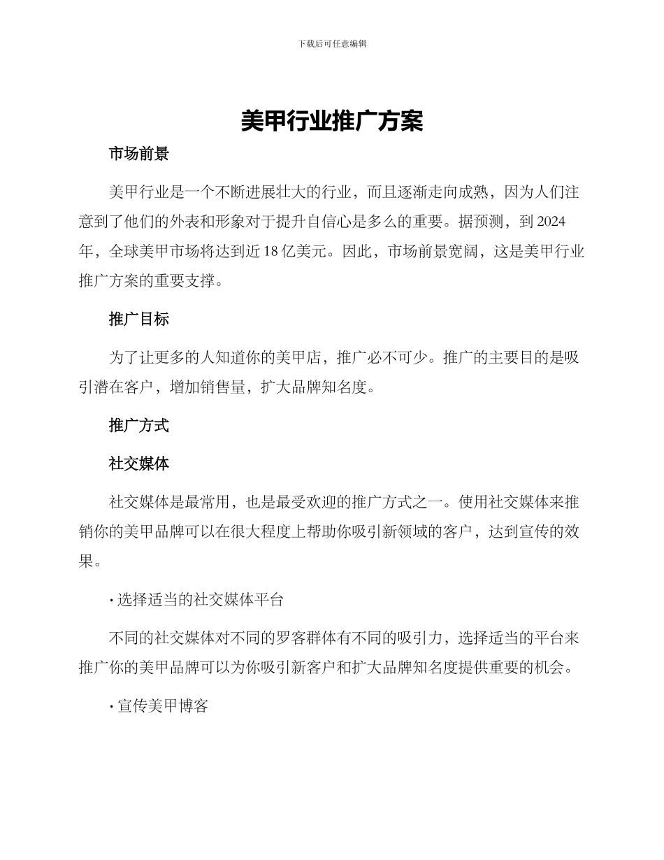 美甲行业推广方案_第1页