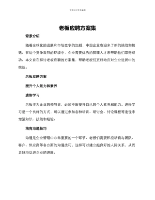 老板应聘方案集