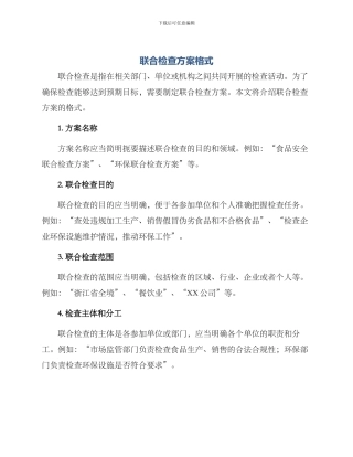 联合检查方案格式