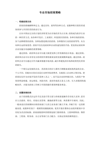 专业场招商策略