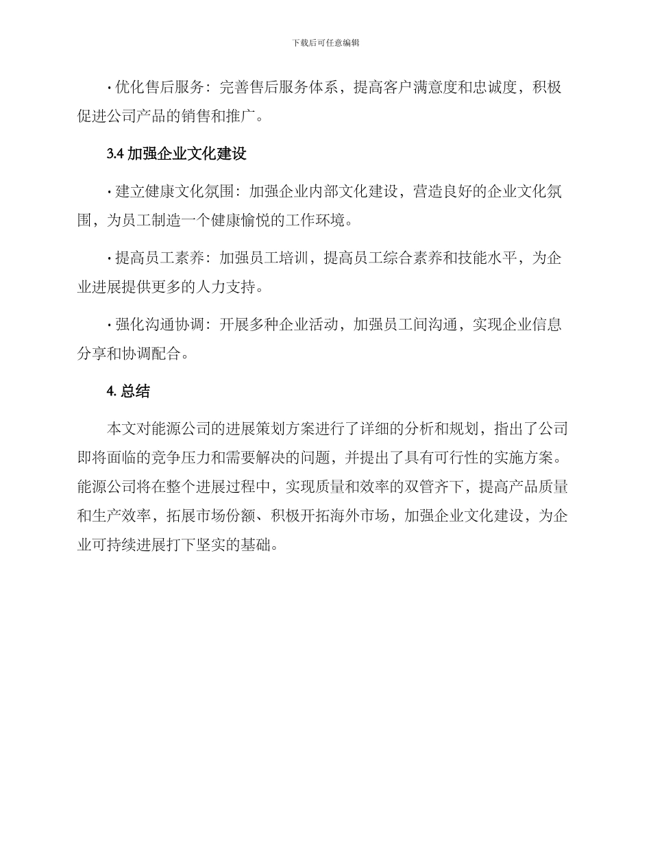 能源公司发展策划方案_第3页