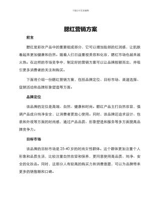 腮红营销方案