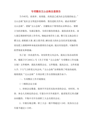专项整治文山会海自查报告