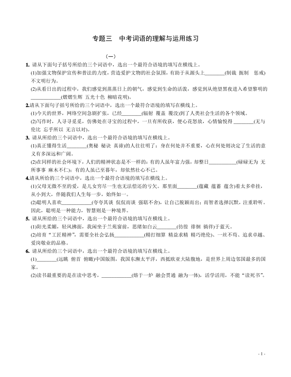 专题三中考词语的理解与运用练习_第1页