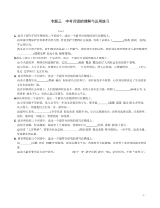 专题三中考词语的理解与运用练习