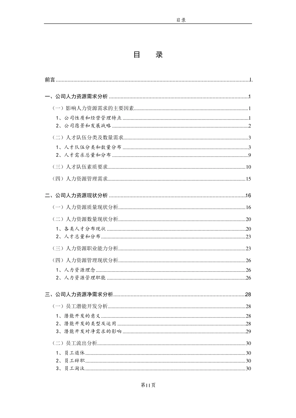 世界500强企业人力资源5年战略规划模板_第3页