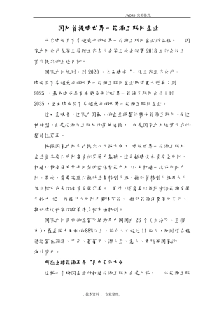 世界一流能源互联网企业资料全