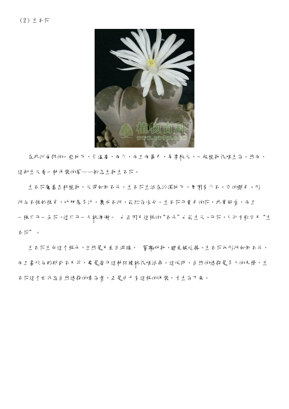 世界上最有趣的植物材料_第2页